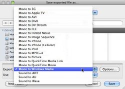 QuickTime Player 7ScreenSnapz001.jpg
