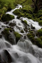 Wahkeena Creek.jpg