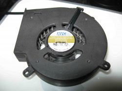 AVC front.jpg