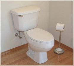 toilet.jpg