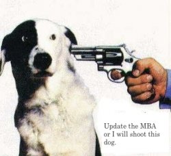 gun2dogshead.jpg