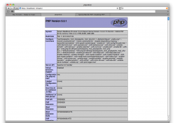 Screen shot 2010-05-30 at 2.36.39 AM.png