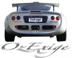 OZEXIGE small copy.jpg