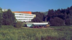 IMG_0038_sm.jpg