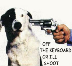 shootthedog.jpg