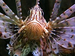 IMG_0375.jpg