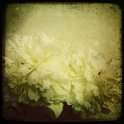 photo 5.JPG