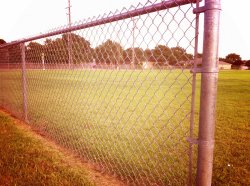 cphoto 2.JPG
