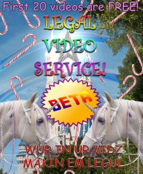 legalvideoservice.jpg