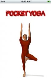 Pocket Yoga.jpg