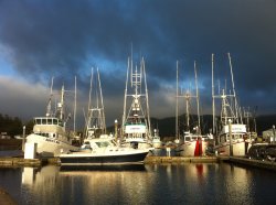 Boats.jpg