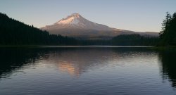 Trillium From Road.jpg