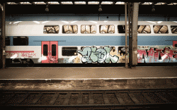 graffiti-on-train.gif