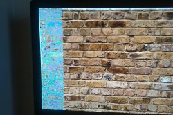 IMAG0028.jpg