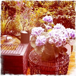 gardens_02.jpg