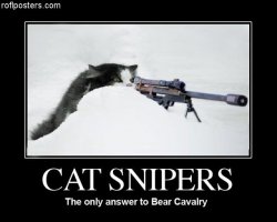 catsniper.jpg