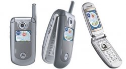 motorola-e815-multi.jpg