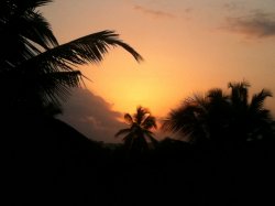 IMG_0697.JPG