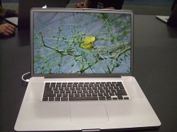 silver-bezeled-macbook-pro.jpg