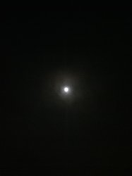 photo3.jpg