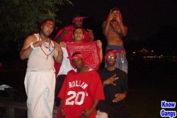 BLOODS_IN_THE_PARK.jpg