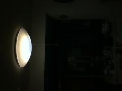 IMG_0017.JPG