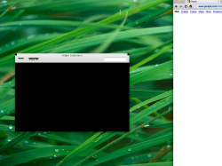 Screen shot 2010-10-22 at 8.29.51 PM.png