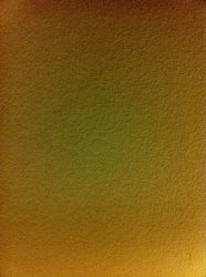 IMG_0349.jpg