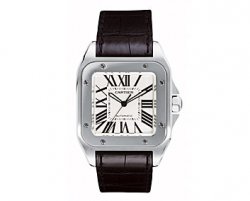 cartier-santos-100.jpg