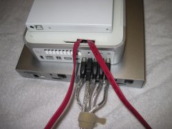 IMG_0461 1mb.jpg