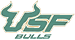 Bulls light.png