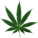 GreenLeaf.png