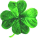 clover1.png
