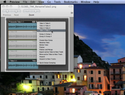 Screen shot 2010-12-17 at 1.31.13 AM.png