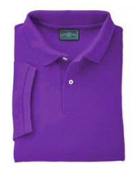 purple polo.jpg