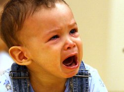 alg_baby_derby_cry.jpg