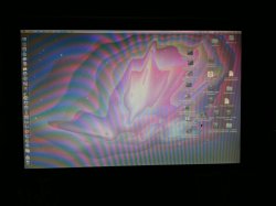 Photo Jan 04, 4 34 59 PM.jpg