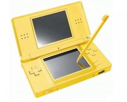 ds lite.jpg