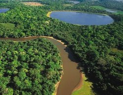 pantanal2.jpg