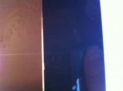 photo 2-1.jpg