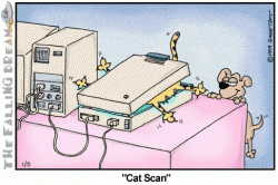 catscan.gif