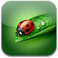 icon@2x.png