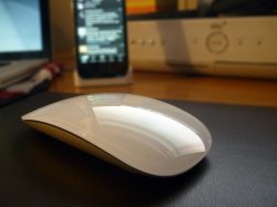 mouse.jpg