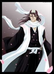 kuchiki_byakuya.jpg