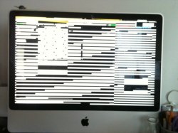 Photo1.jpeg