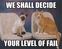 FAIL-Cats-We-shall-decide.jpg