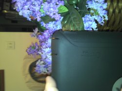 2011-05-17_16-45-32_120.jpg