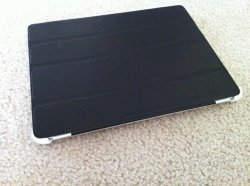 IMG_0294.jpg