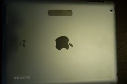 Belkin.jpg