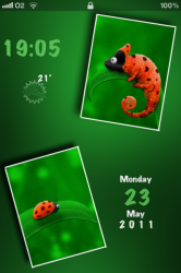 IMG_0235.PNG
